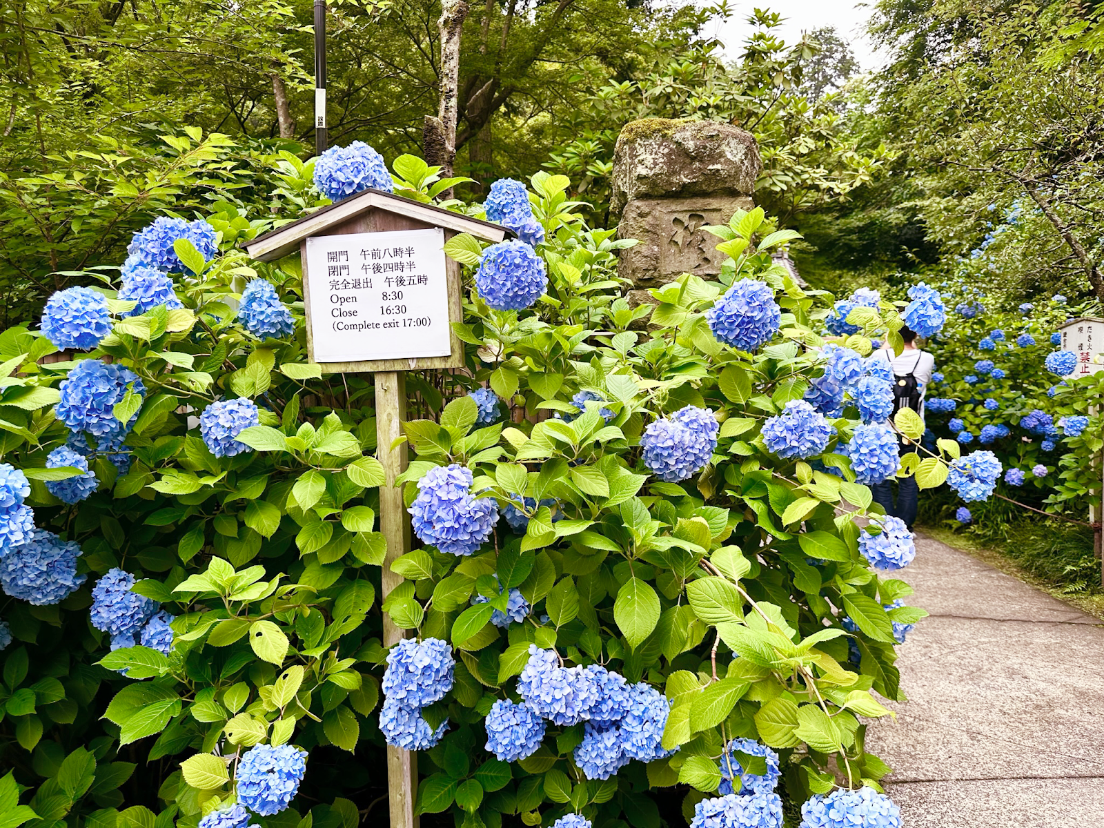 北鐮倉明月院