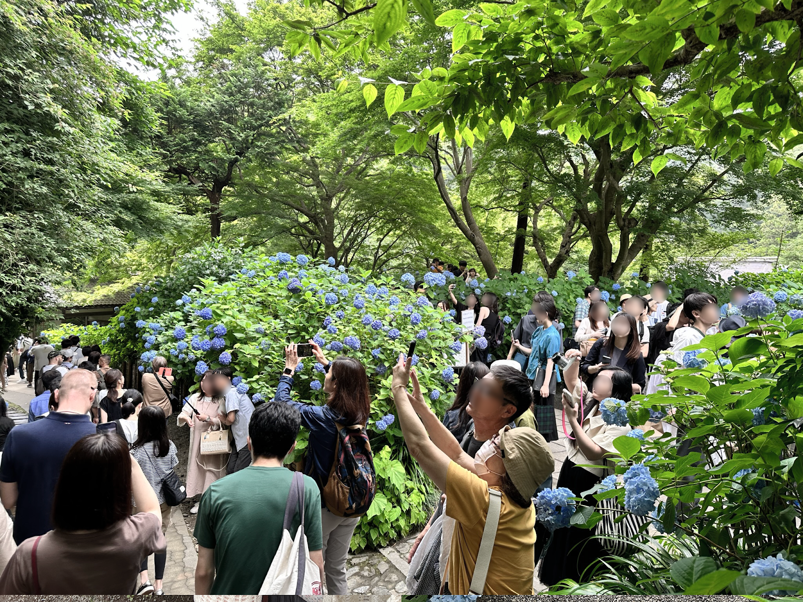 北鐮倉明月院