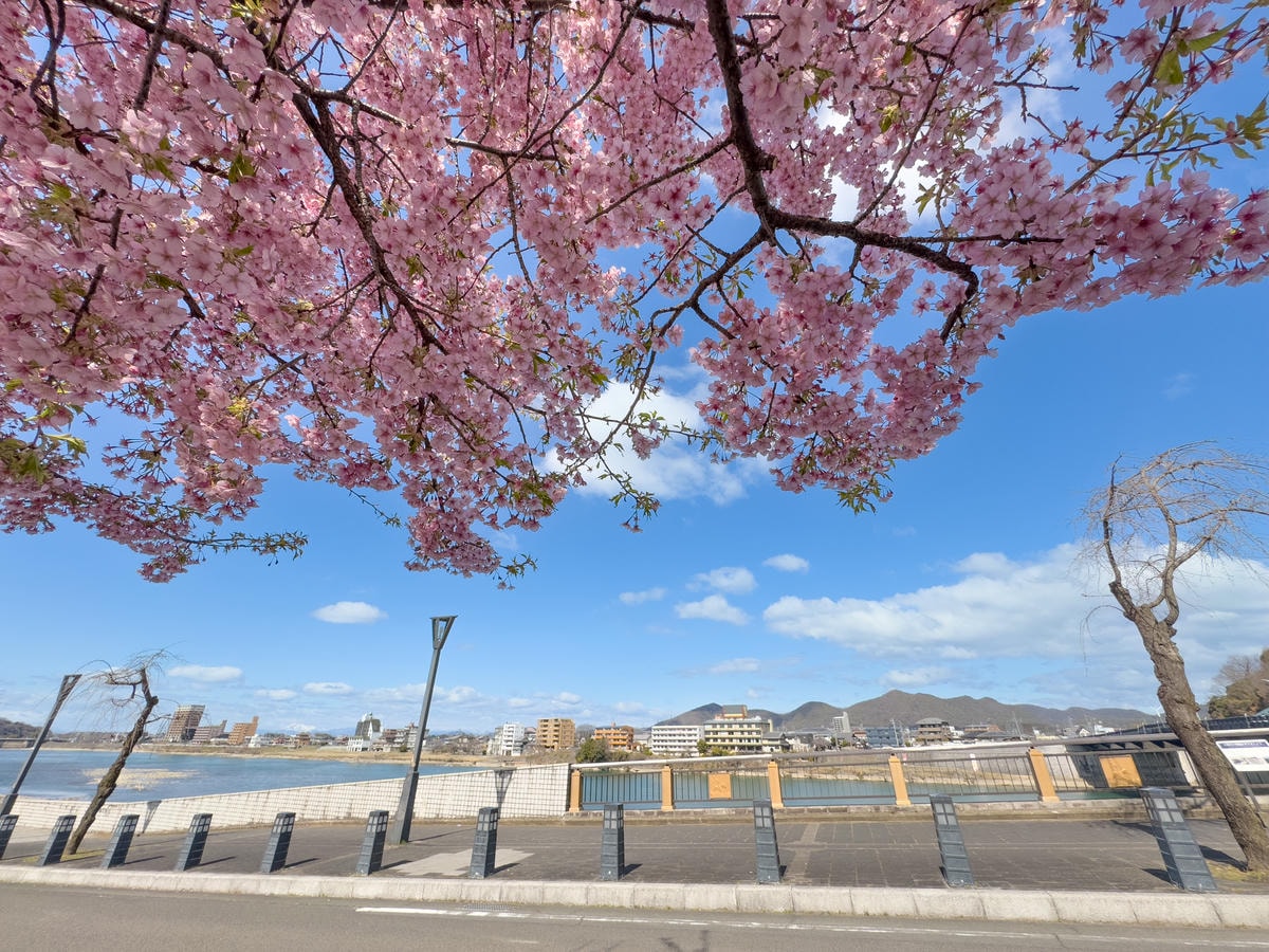 名古屋三光稻荷神社|想拍美照必去!粉紅愛心御籤繪馬連發,中部景點再加一 - 第3張圖 木曾川