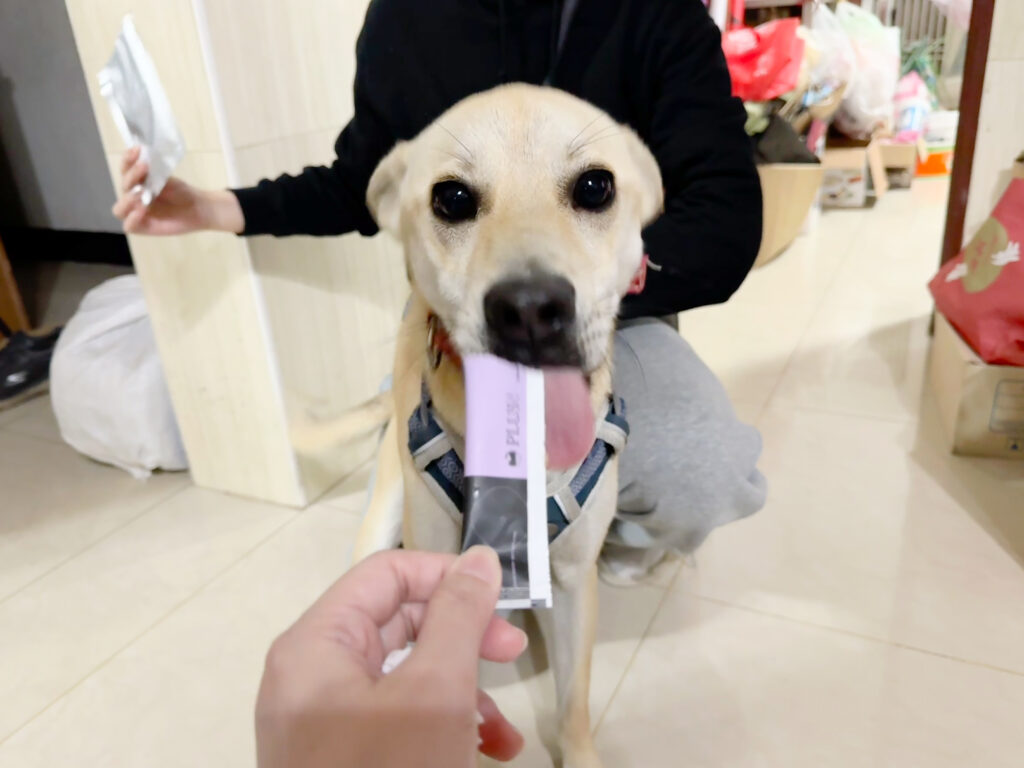 喵皇奴 PLUS!免疫專科