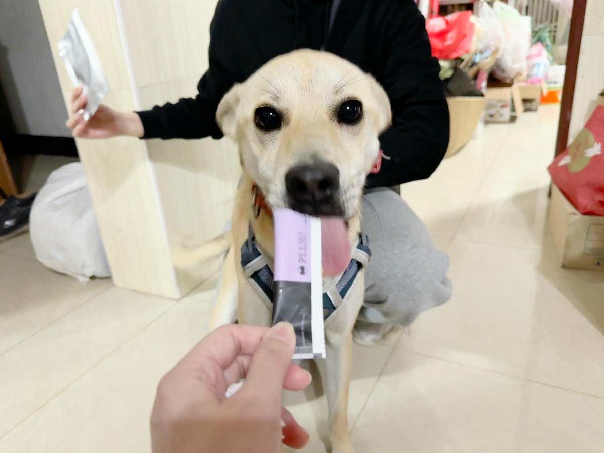 喵皇奴 PLUS！免疫專科