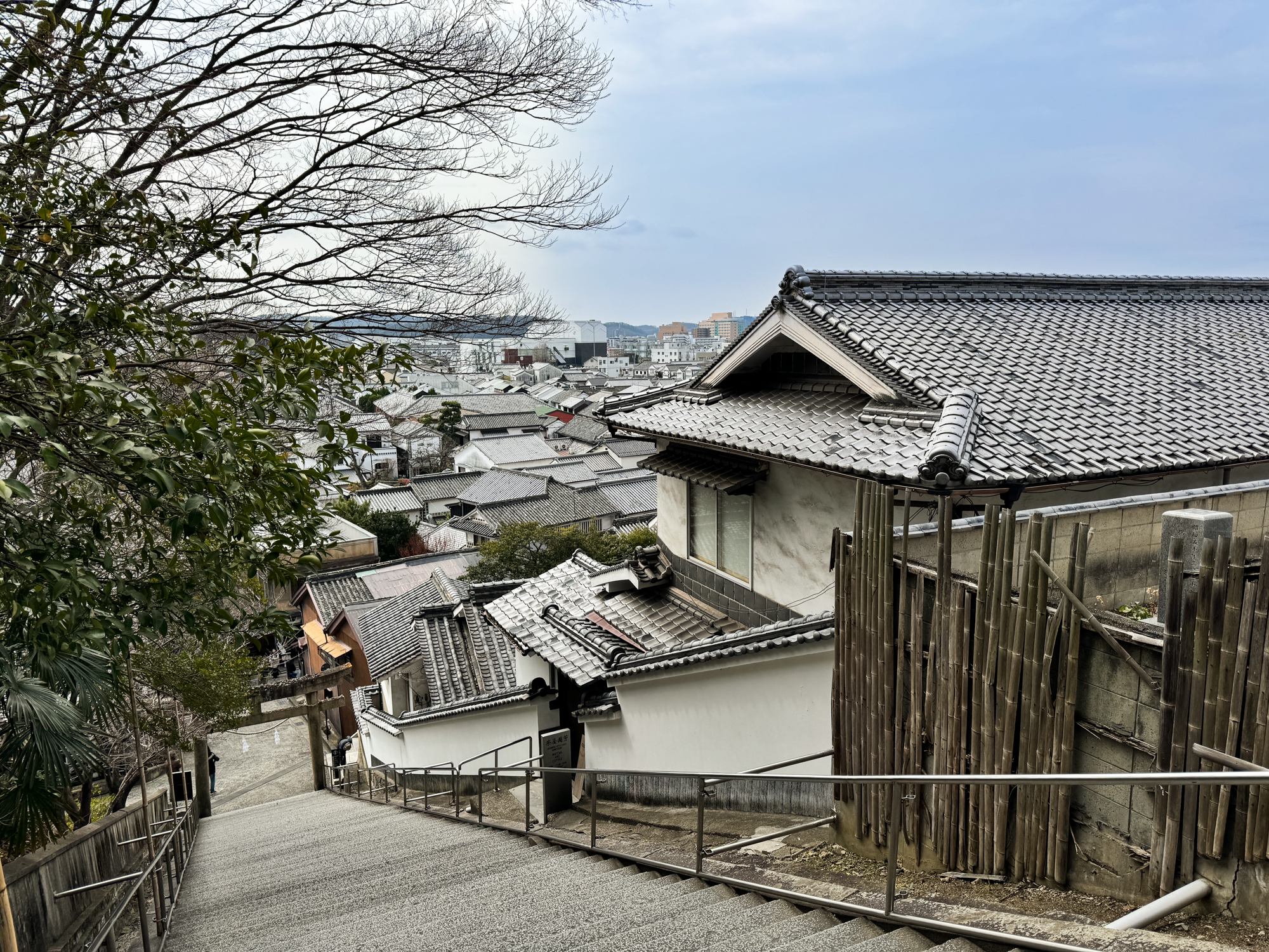 阿智神社|倉敷必訪!最美花纏守就在這!粉紫藤花瀑五月限定! - 第18張圖 阿智神社
