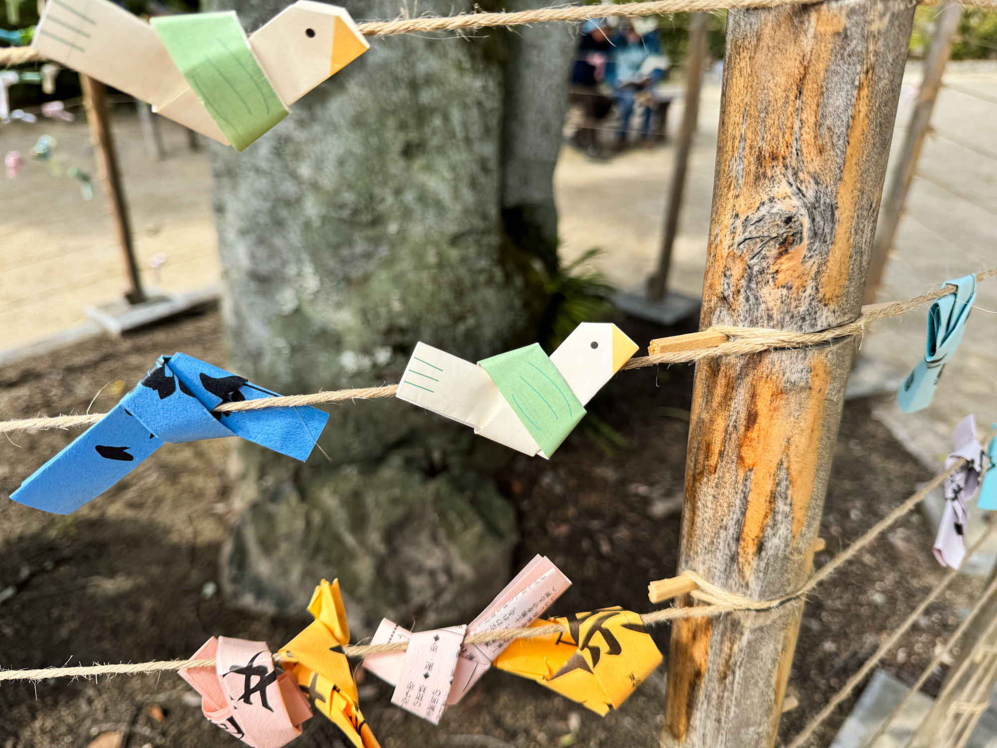 阿智神社|倉敷必訪!最美花纏守就在這!粉紫藤花瀑五月限定! - 第12張圖 阿智神社