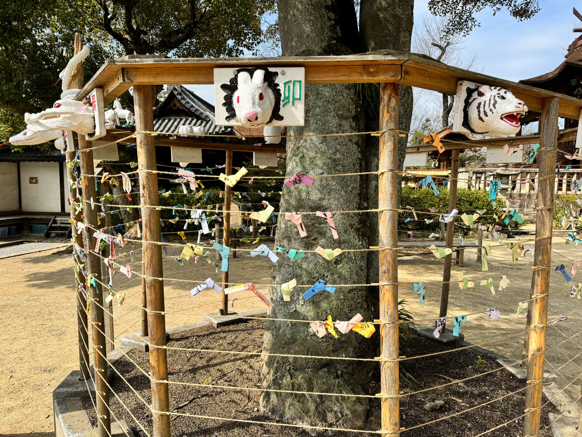 阿智神社|倉敷必訪!最美花纏守就在這!粉紫藤花瀑五月限定! - 第13張圖 阿智神社